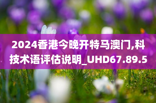 2024香港今晚开特马澳门,科技术语评估说明_UHD67.89.50