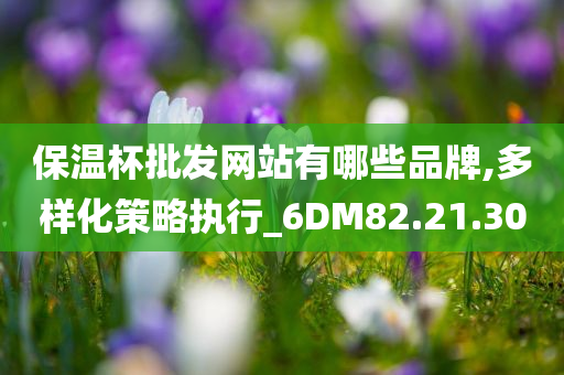 保温杯批发网站有哪些品牌,多样化策略执行_6DM82.21.30