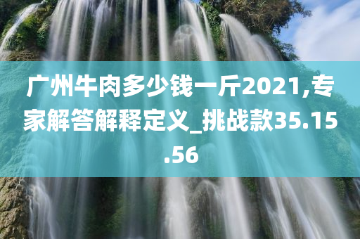 广州牛肉多少钱一斤2021,专家解答解释定义_挑战款35.15.56