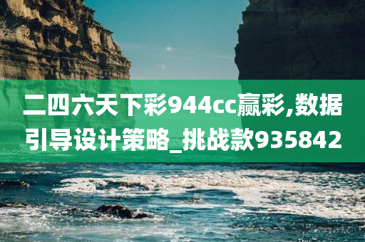 二四六天下彩944cc赢彩,数据引导设计策略_挑战款935842