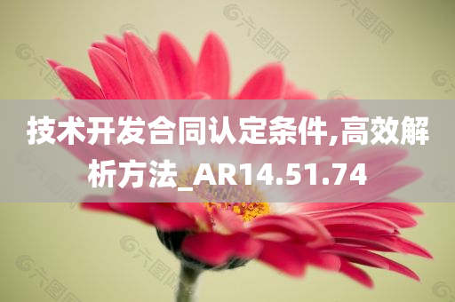 技术开发合同认定条件,高效解析方法_AR14.51.74