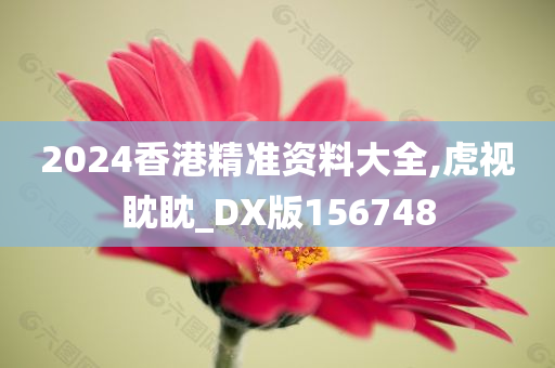 2024香港精准资料大全,虎视眈眈_DX版156748