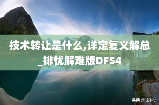 技术转让是什么,详定复义解总_排忧解难版DFS4