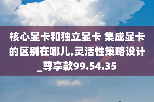 核心显卡和独立显卡 集成显卡的区别在哪儿,灵活性策略设计_尊享款99.54.35