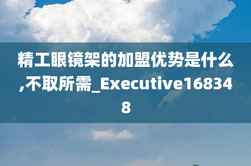 精工眼镜架的加盟优势是什么,不取所需_Executive168348