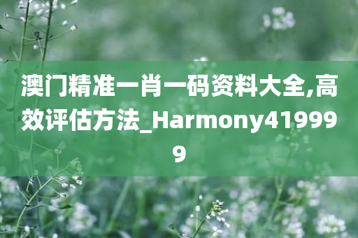 澳门精准一肖一码资料大全,高效评估方法_Harmony419999