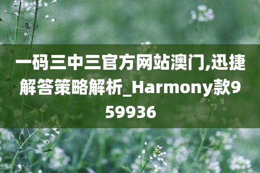 一码三中三官方网站澳门,迅捷解答策略解析_Harmony款959936