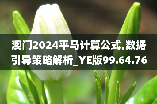 澳门2024平马计算公式,数据引导策略解析_YE版99.64.76