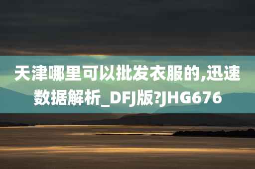 天津哪里可以批发衣服的,迅速数据解析_DFJ版?JHG676