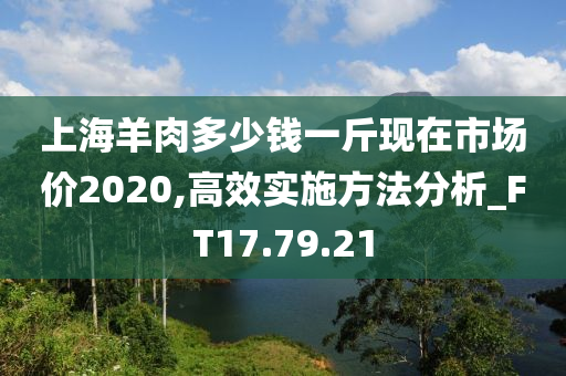 上海羊肉多少钱一斤现在市场价2020,高效实施方法分析_FT17.79.21