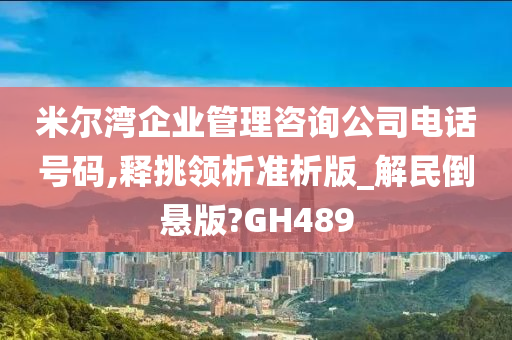 米尔湾企业管理咨询公司电话号码,释挑领析准析版_解民倒悬版?GH489