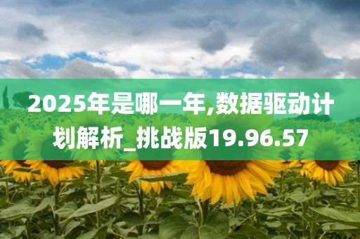 2025年是哪一年,数据驱动计划解析_挑战版19.96.57