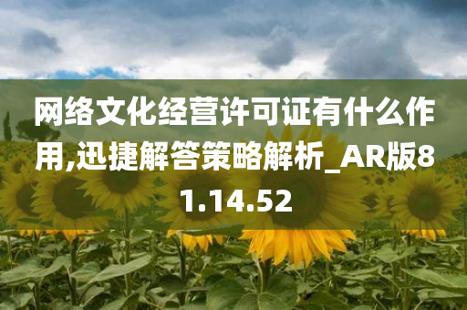 网络文化经营许可证有什么作用,迅捷解答策略解析_AR版81.14.52