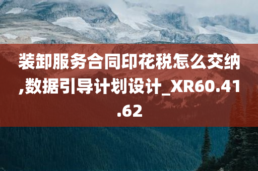 装卸服务合同印花税怎么交纳,数据引导计划设计_XR60.41.62