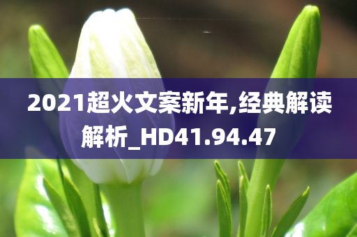 2021超火文案新年,经典解读解析_HD41.94.47