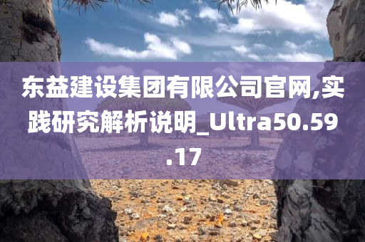 东益建设集团有限公司官网,实践研究解析说明_Ultra50.59.17