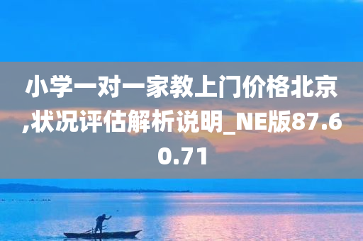 小学一对一家教上门价格北京,状况评估解析说明_NE版87.60.71