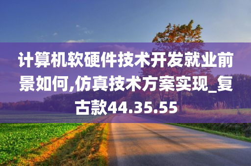 计算机软硬件技术开发就业前景如何,仿真技术方案实现_复古款44.35.55