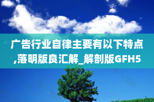 广告行业自律主要有以下特点,落明版良汇解_解剖版GFH5