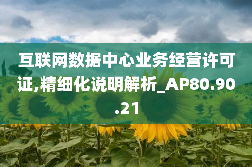 互联网数据中心业务经营许可证,精细化说明解析_AP80.90.21