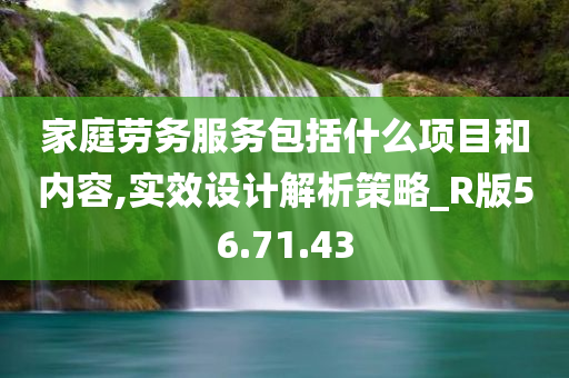 家庭劳务服务包括什么项目和内容,实效设计解析策略_R版56.71.43