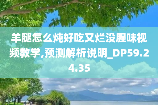 羊腿怎么炖好吃又烂没腥味视频教学,预测解析说明_DP59.24.35