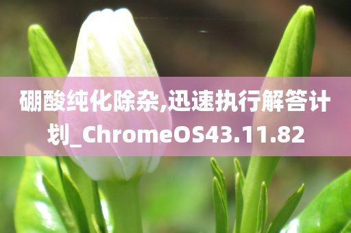 硼酸纯化除杂,迅速执行解答计划_ChromeOS43.11.82