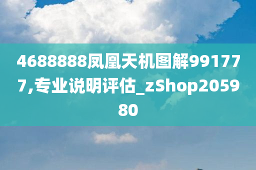 4688888凤凰天机图解991777,专业说明评估_zShop205980