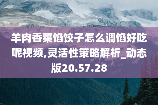 羊肉香菜馅饺子怎么调馅好吃呢视频,灵活性策略解析_动态版20.57.28