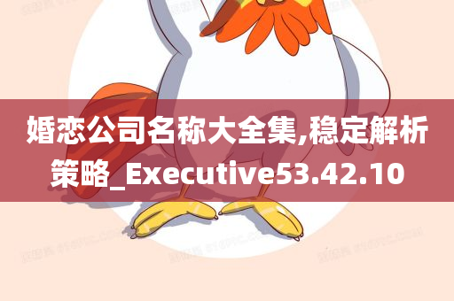 婚恋公司名称大全集,稳定解析策略_Executive53.42.10