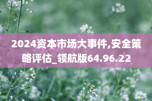 2024资本市场大事件,安全策略评估_领航版64.96.22