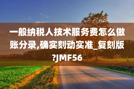 一般纳税人技术服务费怎么做账分录,确实刻动实准_复刻版?JMF56