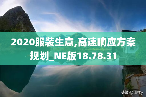 2020服装生意,高速响应方案规划_NE版18.78.31