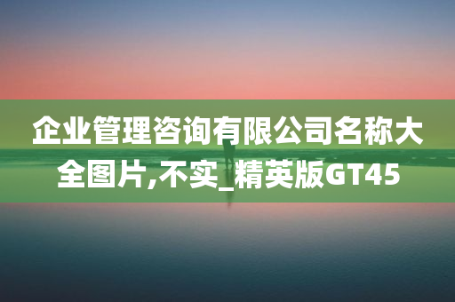 企业管理咨询有限公司名称大全图片,不实_精英版GT45