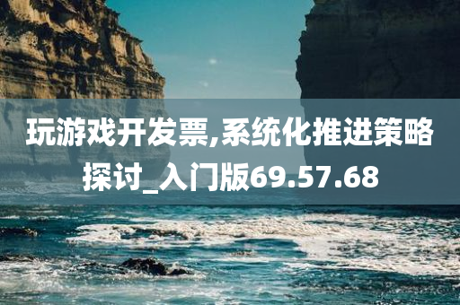 玩游戏开发票,系统化推进策略探讨_入门版69.57.68