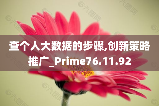 查个人大数据的步骤,创新策略推广_Prime76.11.92