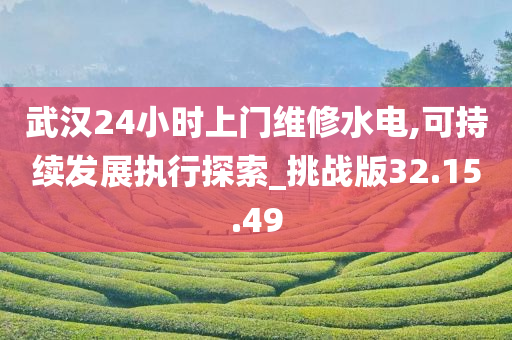 武汉24小时上门维修水电,可持续发展执行探索_挑战版32.15.49