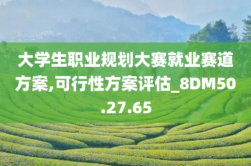 大学生职业规划大赛就业赛道方案,可行性方案评估_8DM50.27.65