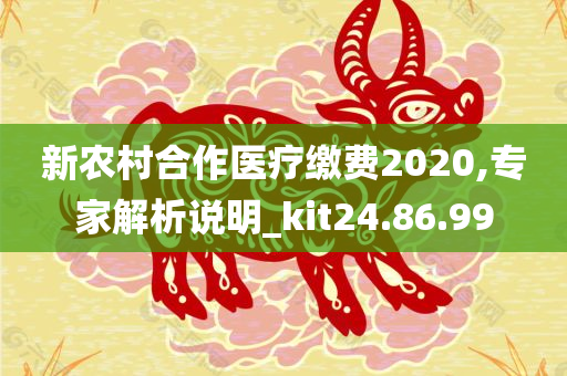 新农村合作医疗缴费2020,专家解析说明_kit24.86.99