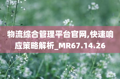 物流综合管理平台官网,快速响应策略解析_MR67.14.26