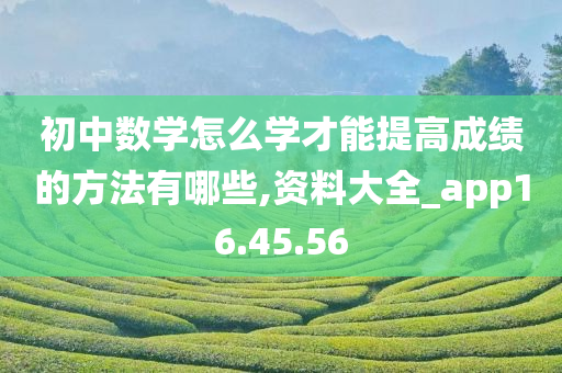 初中数学怎么学才能提高成绩的方法有哪些,资料大全_app16.45.56