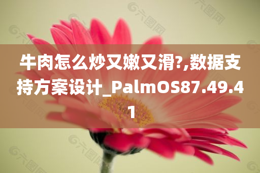 牛肉怎么炒又嫩又滑?,数据支持方案设计_PalmOS87.49.41