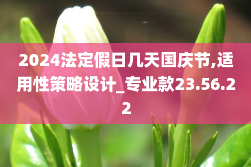 2024法定假日几天国庆节,适用性策略设计_专业款23.56.22