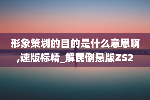 形象策划的目的是什么意思啊,速版标精_解民倒悬版ZS2