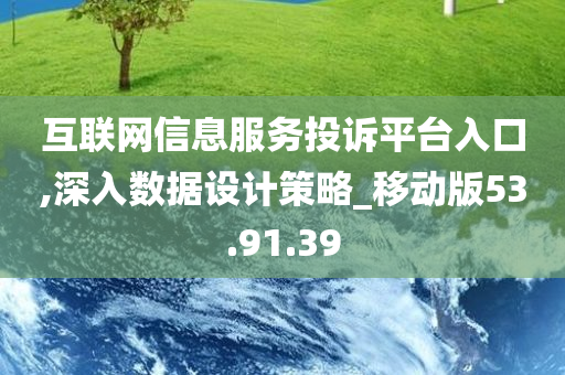 互联网信息服务投诉平台入口,深入数据设计策略_移动版53.91.39