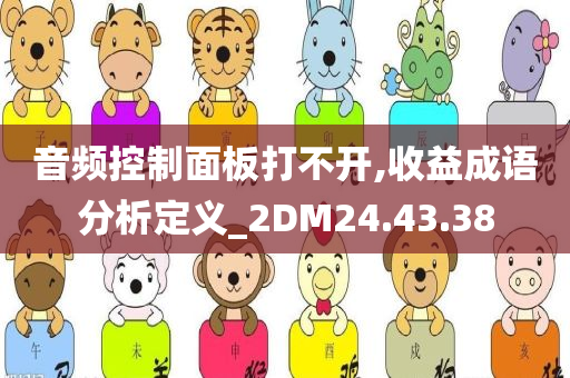 音频控制面板打不开,收益成语分析定义_2DM24.43.38