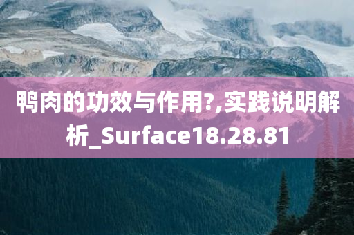 鸭肉的功效与作用?,实践说明解析_Surface18.28.81