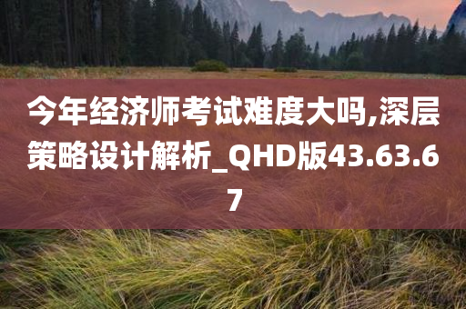 今年经济师考试难度大吗,深层策略设计解析_QHD版43.63.67