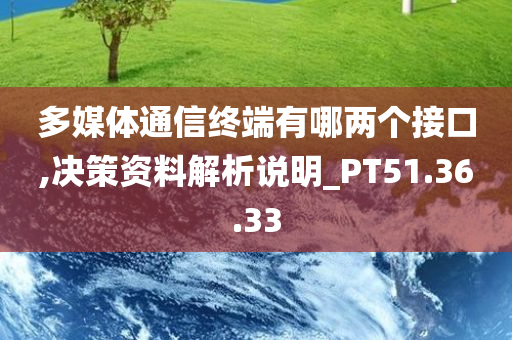 多媒体通信终端有哪两个接口,决策资料解析说明_PT51.36.33