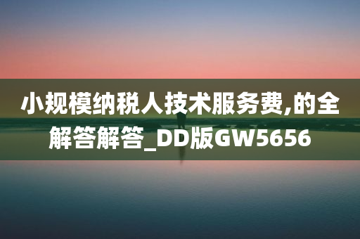 小规模纳税人技术服务费,的全解答解答_DD版GW5656